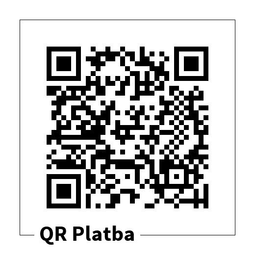 cst3-qr